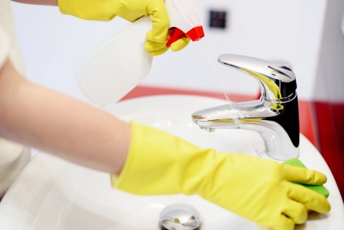 Removing stains and odours from rugs in Barnet