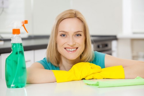 Carpet cleaning team using sustainable methods in Barnet