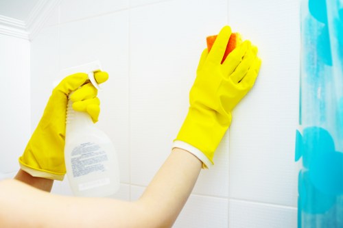 Local cleaning professional tidying a Barnet living room