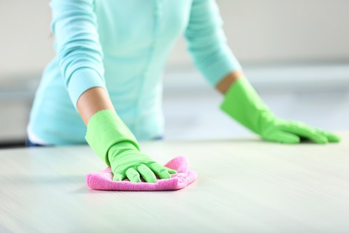 Local technician treating a stain on a sofa in a Barnet home