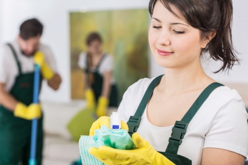 Deep cleaning a mattress in a Barnet flat or apartment