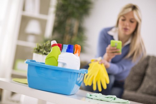 Effective stain treatment for rugs and soft furnishings in Barnet